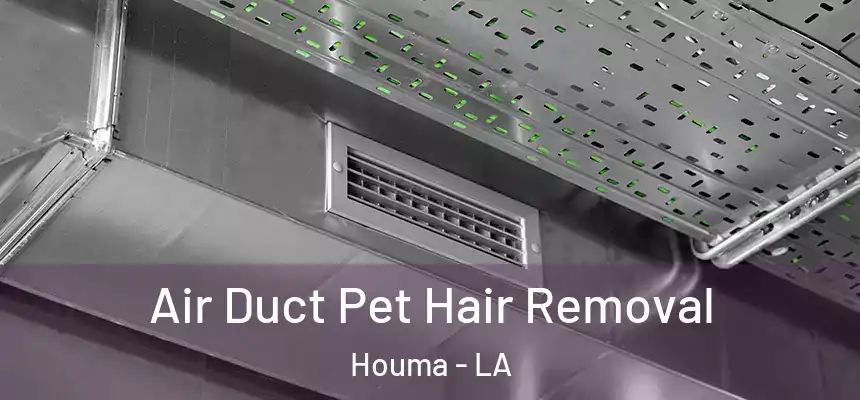  Air Duct Pet Hair Removal Houma - LA
