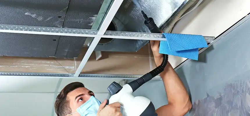 Our Air Duct Rodent Removal Services in Houma, LA