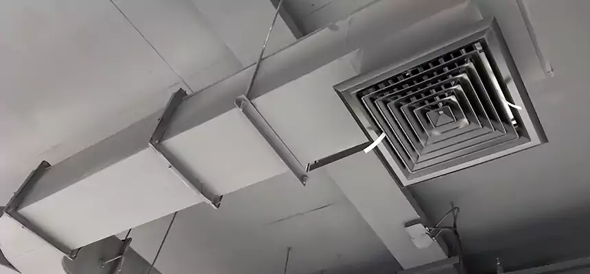 Restorative Allergy Relief Vent Cleaning – Coil, Blower & Housing Detail in Houma