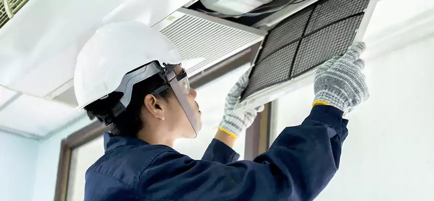 Our Mold & Mildew Removal from Air Ducts Services in Houma, LA