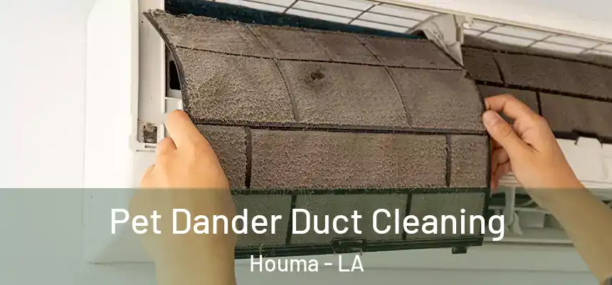  Pet Dander Duct Cleaning Houma - LA