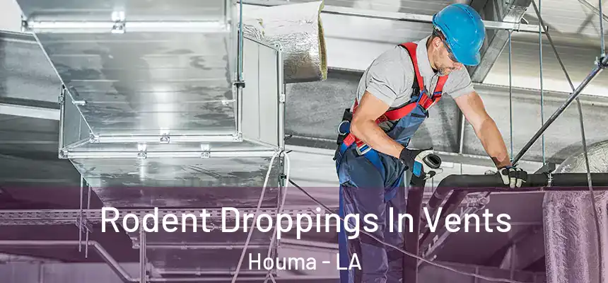  Rodent Droppings In Vents Houma - LA