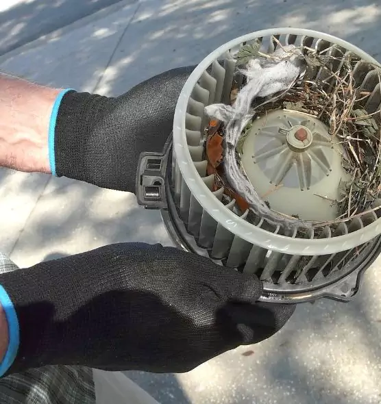 About Air Duct Rat Removal in Houma, LA