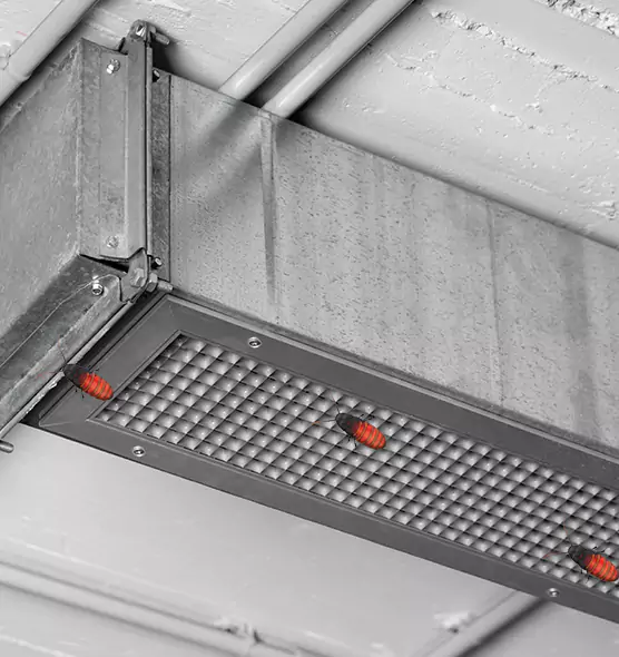 Affordable Insect Removal from Air Ducts in Houma, LA