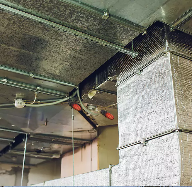 Why Homeowners & Businesses Trust Us in Houma, LA?