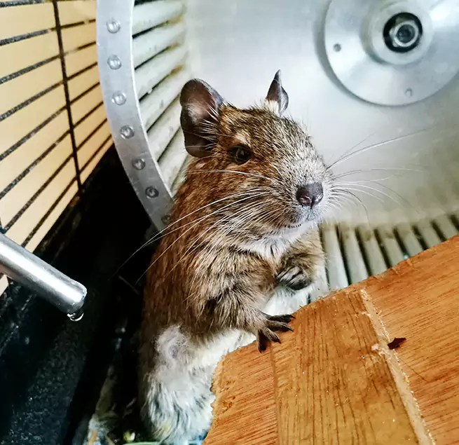 Why Homeowners & Businesses Trust Us Houma, LA?