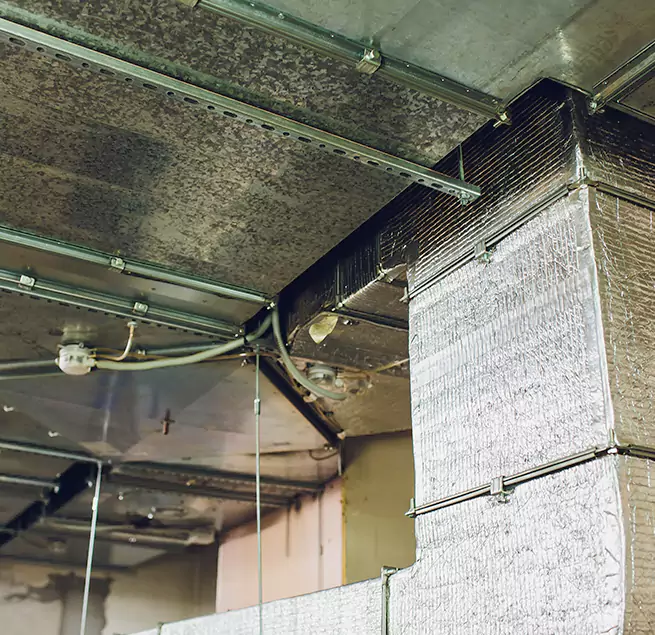 Why Homeowners & Businesses Trust Us in Houma, LA?